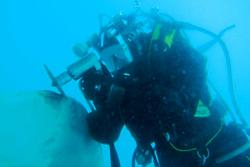 Hydrex removing propeller damage